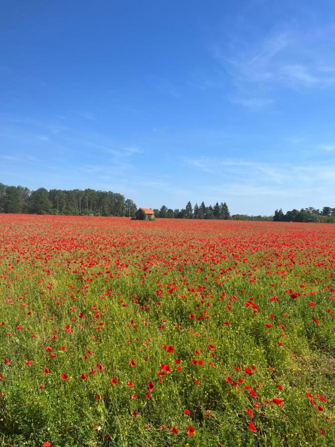 Oh ! Fleurs Des Champs Bed & Breakfast Chaumont-sur-Tharonne Eksteriør bilde